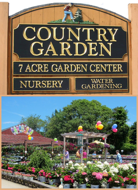 Hyannis Country Garden Is Offering 20 To Spend For Only 10